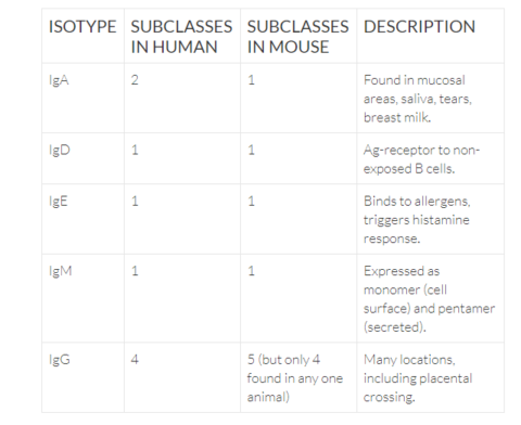 Antibody Reference Guide Cheat Sheet - Abterra Biosciences