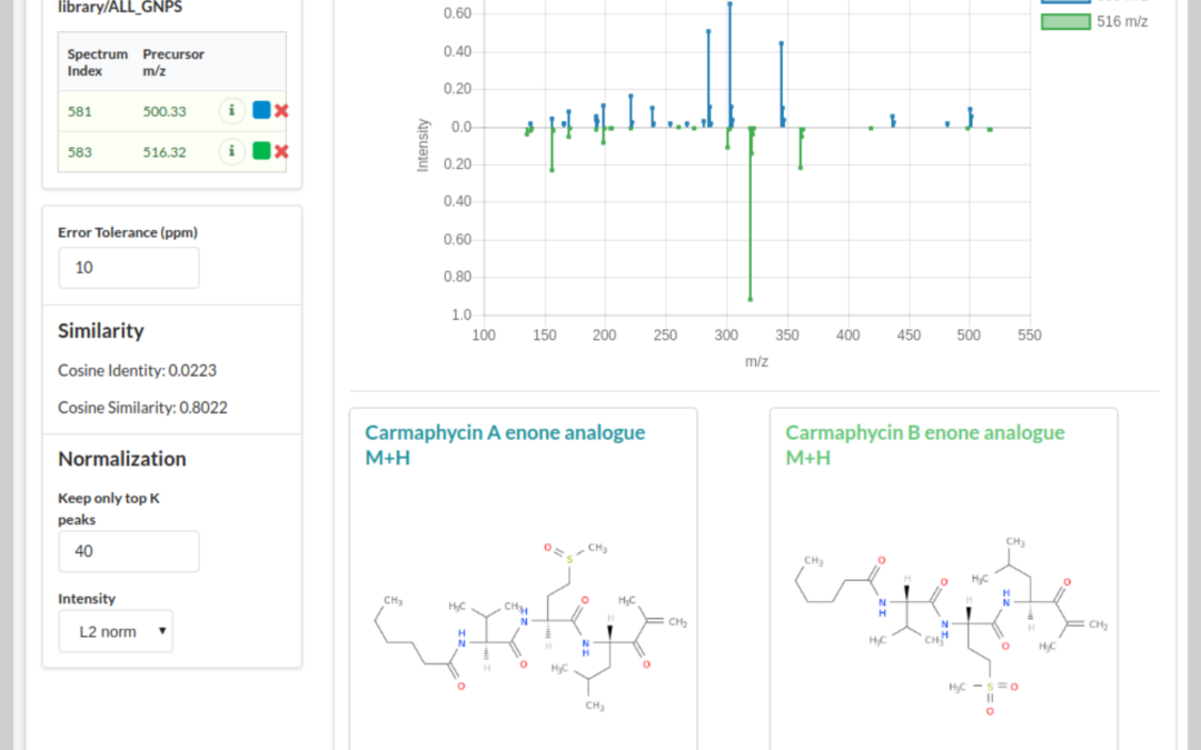 Analyzing the Spectacular World of Small Molecules
