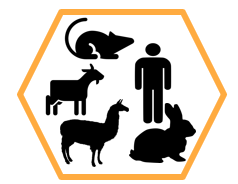 Reptor acceptable species include mouse, rat, rabbit, human, transgenics