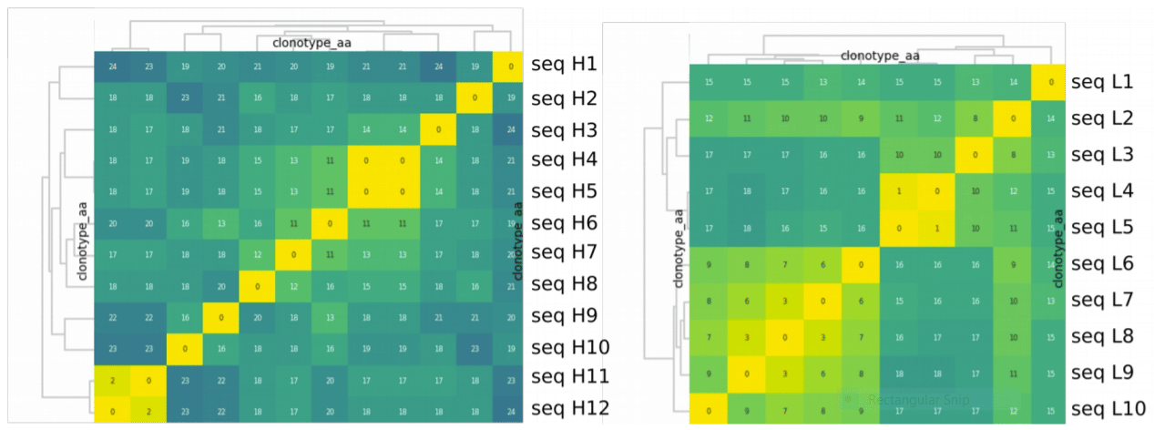 Clustered heatmaps of discovered antibody sequences