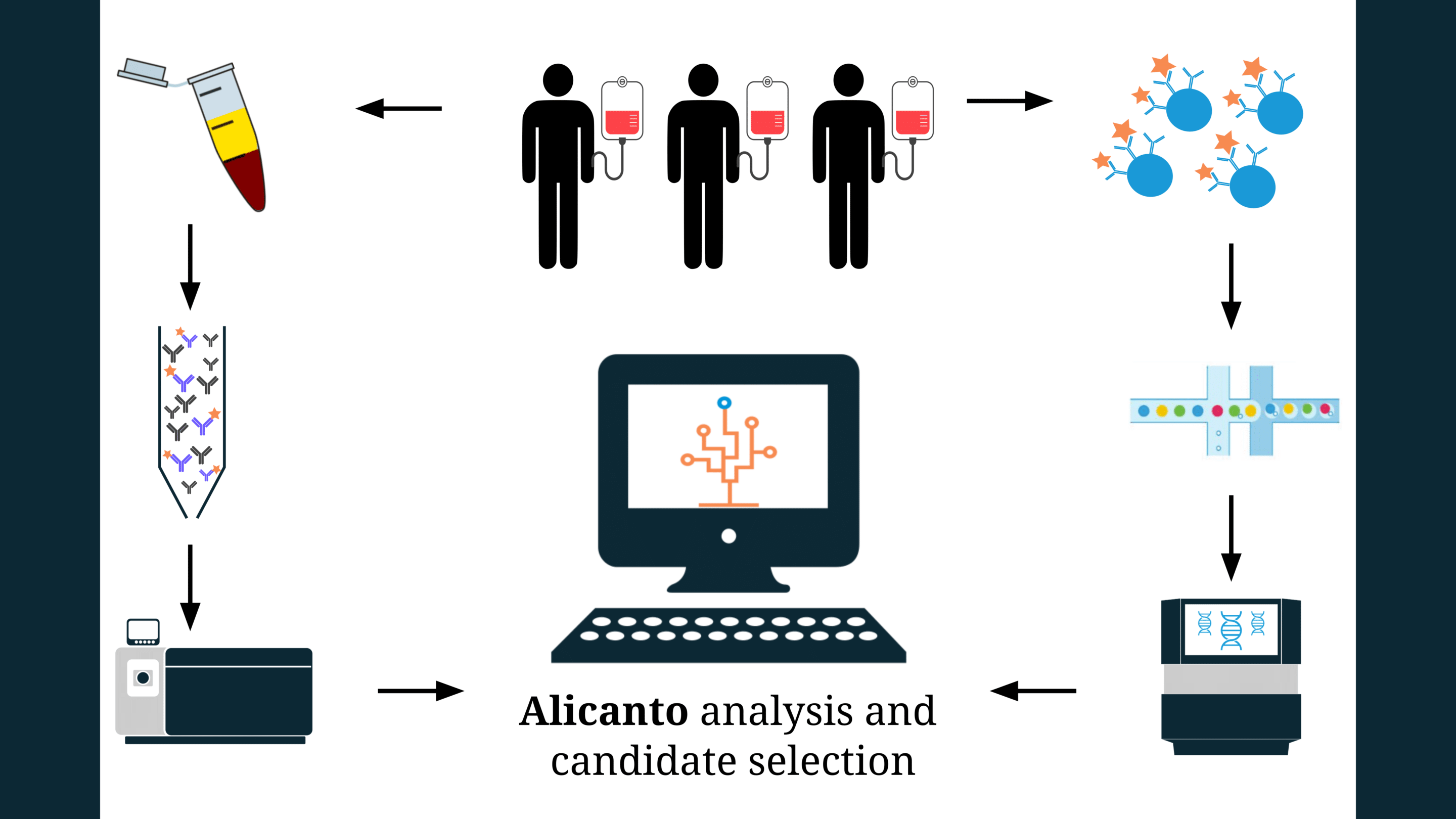 New Service: Alicanto for Antibody Discovery from Human Serum - Abterra ...