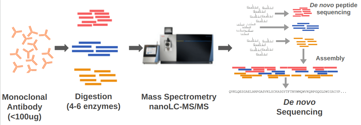 An overview of Valens de novo antibody sequencing process