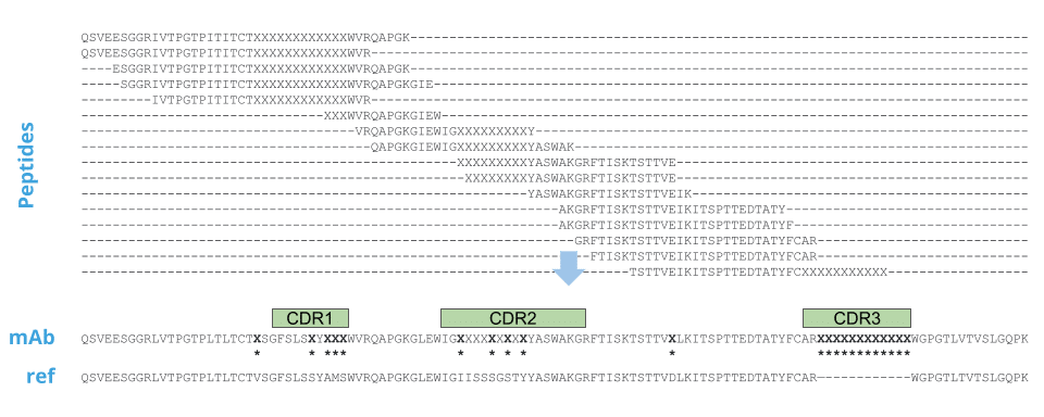Rabbit polyclonal antibody sequencing assembly with supporting peptides. Rabbit polyclonal antibody sequencing assembly with supporting peptides.