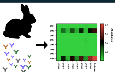 Rabbit Polyclonal Antibody Sequencing for Neurodegenerative Disease Research