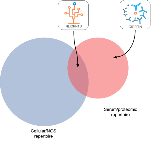 The B cell repertoire versus serum antibody repertoire Venn diagram