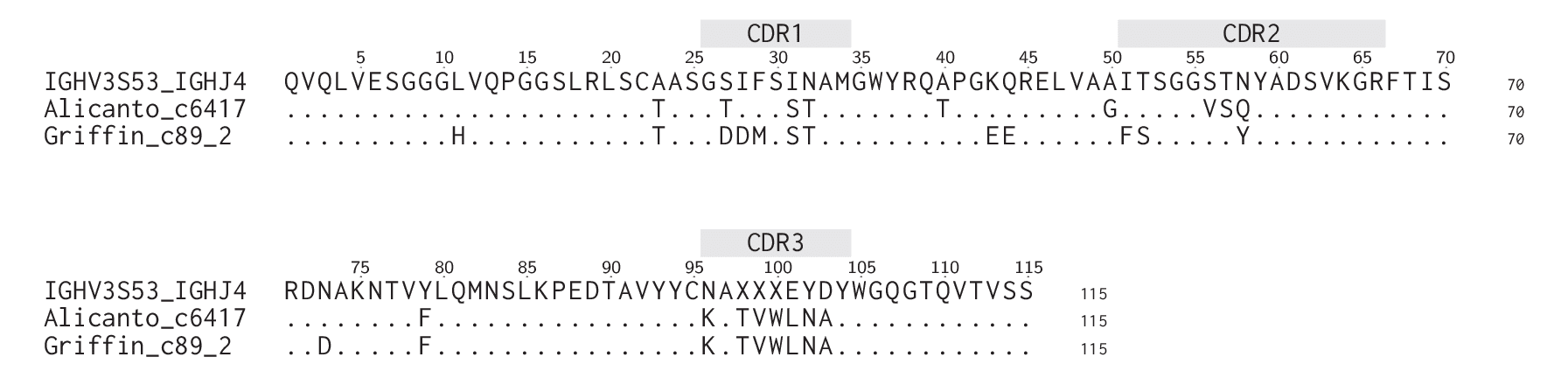 Alignment of Griffin versus Alicanto candidates for the same clone