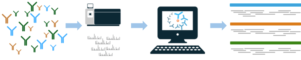 Mass spectrometry workflow for VHH de novo antibody sequencing