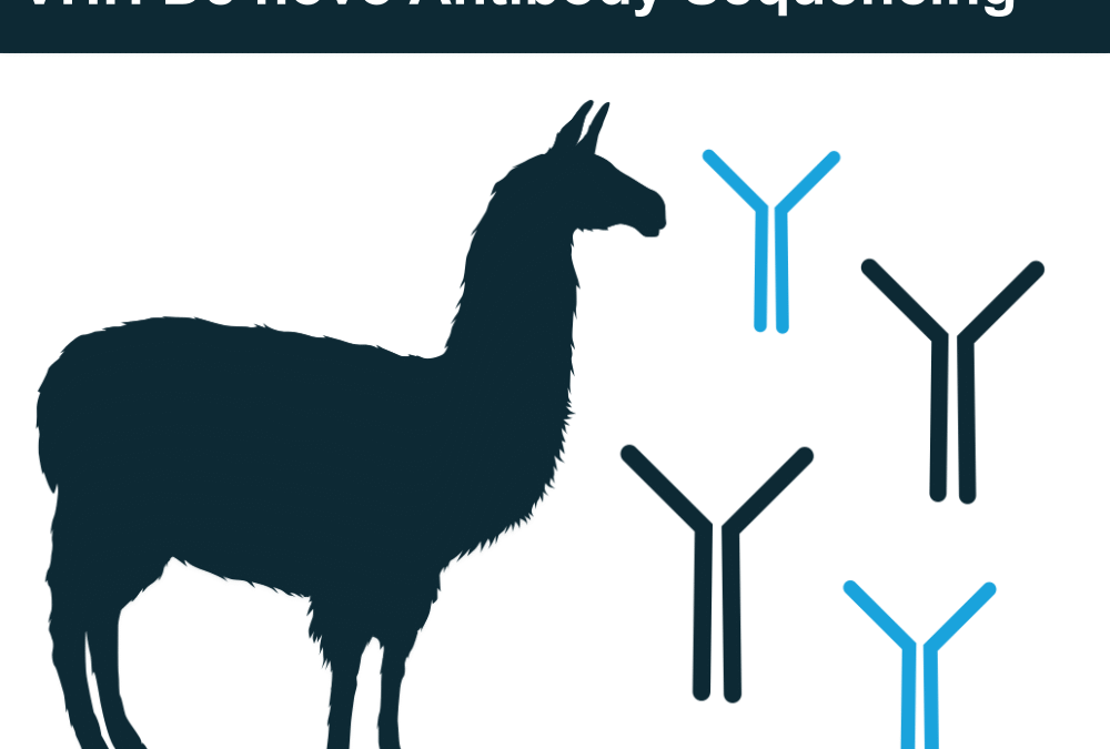 VHH De Novo Antibody Sequencing
