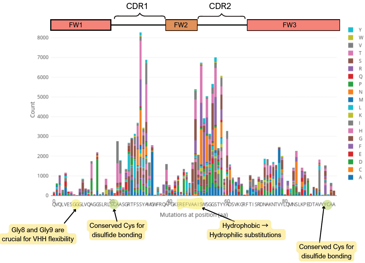 Common mutations in nanobody variable regions.