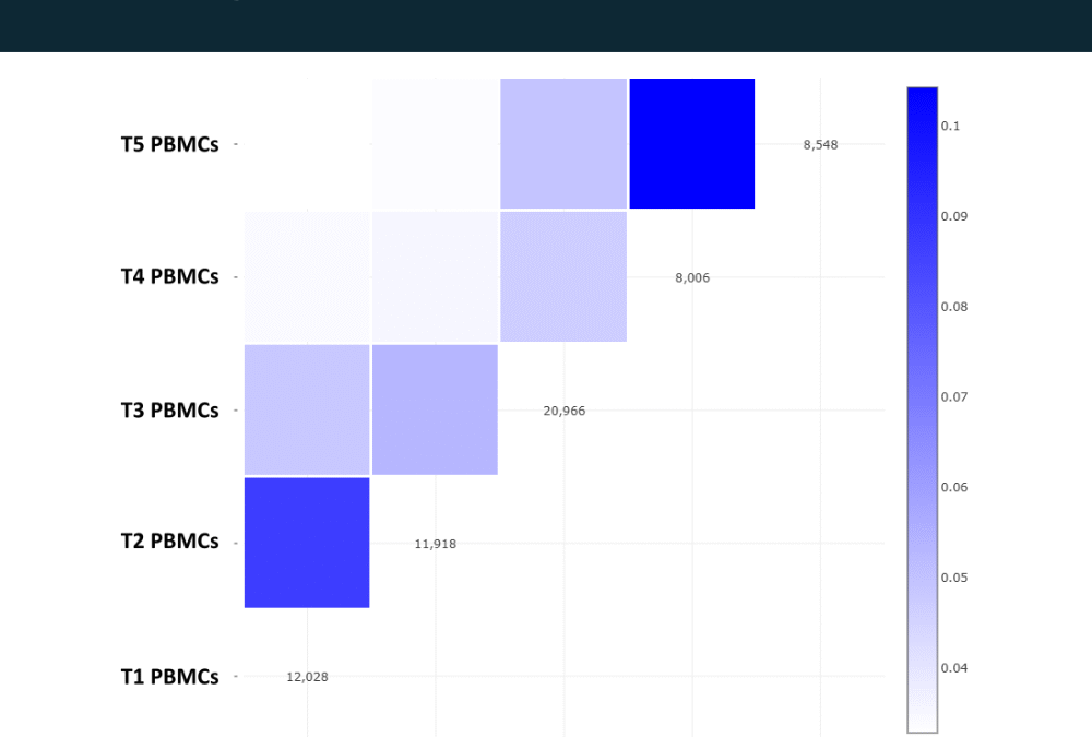 FASTA2AIRR: comparing human and humanized antibodies