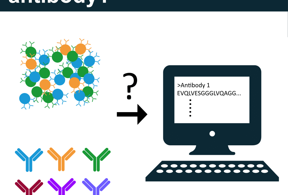 Can You Sequence an Antibody?