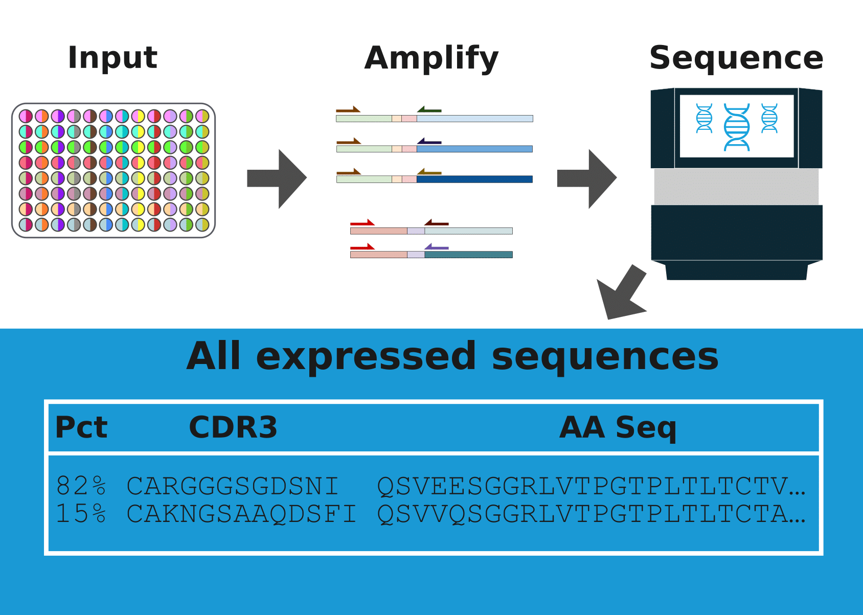 hybridoma-sequencing-process The hybridoma sequencing process.