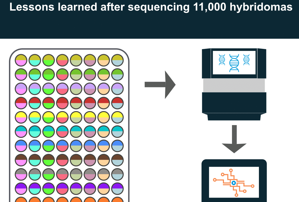 Hybridoma Sequencing Pitfalls: 3 Top Lessons Learned