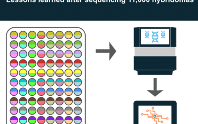 Hybridoma Sequencing Pitfalls: 3 Top Lessons Learned